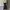 Vintage Casual dress Wanita black photo 1
