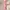 Fairy Coquette Summer Dress Wanita Pink
