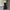 Vintage Goth Casual dress Wanita black photo 1
