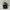 Stussy Streetwear Y2K Hat Pria black photo 2