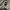 Stussy Streetwear Y2K Hat Pria black photo 6