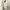 Muslim Maxi dress Wanita white photo 1