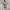 Muslim Maxi dress Wanita white photo 2