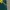 Vintage Streetwear T-shirt Pria green photo 6