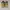 Adidas Casual Sneakers Pria black yellow photo 3