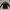 Japanese brand Luxury Casual Sweater Pria black gray photo 3