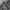 Japanese brand Goth Emo Parka Pria multicolor photo 4