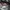 Japanese brand Goth Emo Parka Pria multicolor photo 5