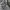 Japanese brand Goth Emo Parka Pria multicolor photo 3