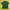 Casual Polo Shirt Pria Green