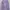Casual Wanita Purple