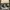 Adidas Casual Casual shoe Pria white black photo 1
