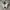 Nike Sportswear Casual Sneakers Pria white black photo 3