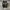 Nike Sportswear Casual Sneakers Pria white black photo 6