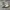 Nike Sportswear Casual Sneakers Pria white black photo 2