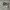 Puma Gorpcore Futurist Sneakers Pria white black photo 1