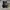 Puma Gorpcore Futurist Sneakers Pria white black photo 6