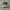 Puma Gorpcore Futurist Sneakers Pria white black photo 2