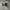 Adidas Casual Sneakers Pria white black photo 1