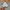 Ellesse Vintage Y2K Short Pria gray photo 4