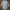 Vivienne Westwood Vintage Y2K Shirt dress Wanita white photo 1