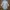 Vivienne Westwood Vintage Y2K Shirt dress Wanita white photo 7