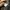Beams Streetwear Biker Bomber jacket Pria brown black photo 5