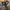 Beams Streetwear Biker Bomber jacket Pria brown black photo 4