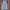Rodeo Crowns Vintage Y2K Jeans Pria blue photo 6