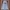 Rodeo Crowns Vintage Y2K Jeans Pria blue photo 5