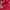 Converse Casual Trench coat Pria red photo 4