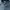 Polo Ralph Lauren Casual Sweater Pria navy photo 4