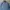 Polo Ralph Lauren Casual Sweater Pria navy photo 2