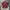 Kloud Studio Casual Casual shirt Pria red photo 1
