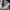 Y2K Bodycon dress Wanita cream photo 3