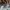 Y2K Bodycon dress Wanita cream photo 4