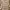 Uniqlo Streetwear Formal Shirt Pria Tan Gray