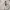 Vintage Fleece Pria white photo 3
