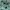 Polo Ralph Lauren Pakaian Nasional Formal shirt Pria green photo 4