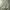 Japanese brand Streetwear Y2K Casual pants Pria green photo 3