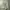 Japanese brand Streetwear Y2K Casual pants Pria green photo 7
