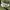GU Vintage Streetwear Casual pants Pria green photo 5
