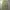 GU Vintage Streetwear Casual pants Pria green photo 2