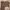 Minimalist Wanita brown photo 1