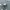 New Era Streetwear Y2K Hat Pria gray photo 1