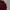 Topten Casual Sweater Pria burgundy blue photo 2