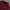 Topten Casual Sweater Pria burgundy blue photo 4