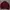 Topten Casual Sweater Pria burgundy blue photo 6