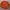 Buckaroo Casual Sweater Pria orange photo 4