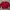 Casual Sweater Pria red photo 1